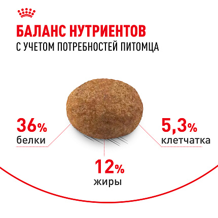 Сухой корм Royal Canin Sterilised 7+ для стерилизованных кошек в возрасте от 7 до 12 лет, 3,5 кг
